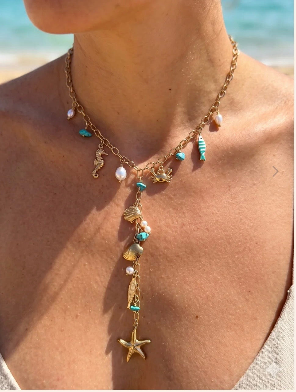 Collier coco bay